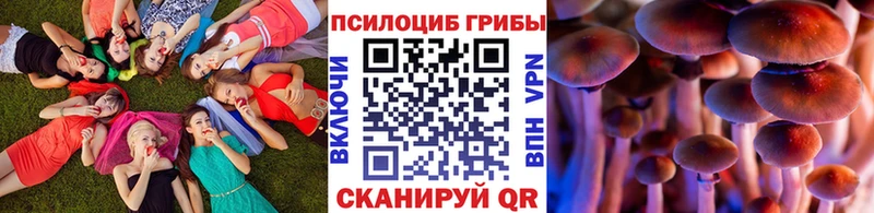 Псилоцибиновые грибы Psilocybine cubensis  гидра сайт  Людиново 